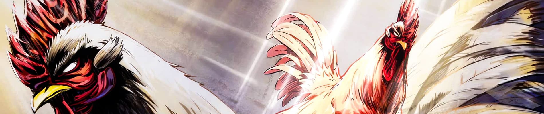 Rooster Fighter